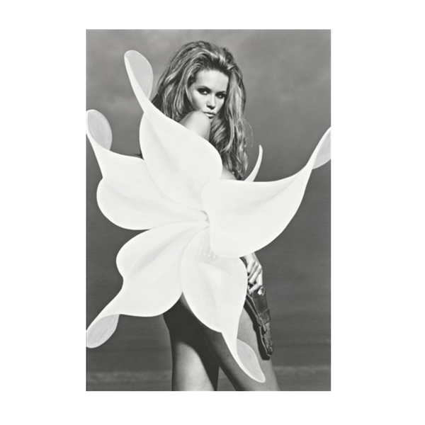 Grillo Demo - ELLE WITH FALLING JASMINE - Semaine