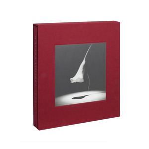 Medium large book 1