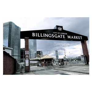 Medium billingsgatemarket