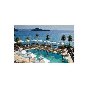 Medium il pellicano
