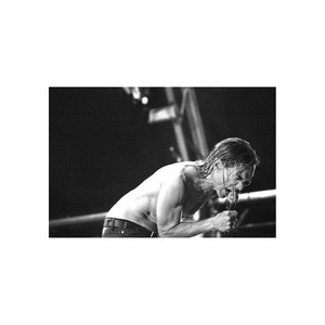 Medium iggy pop poster